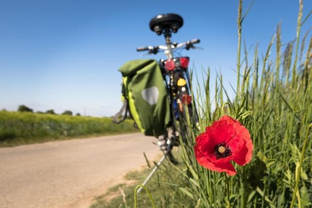 B&B The Protea Zonnebeke Luaran gambar